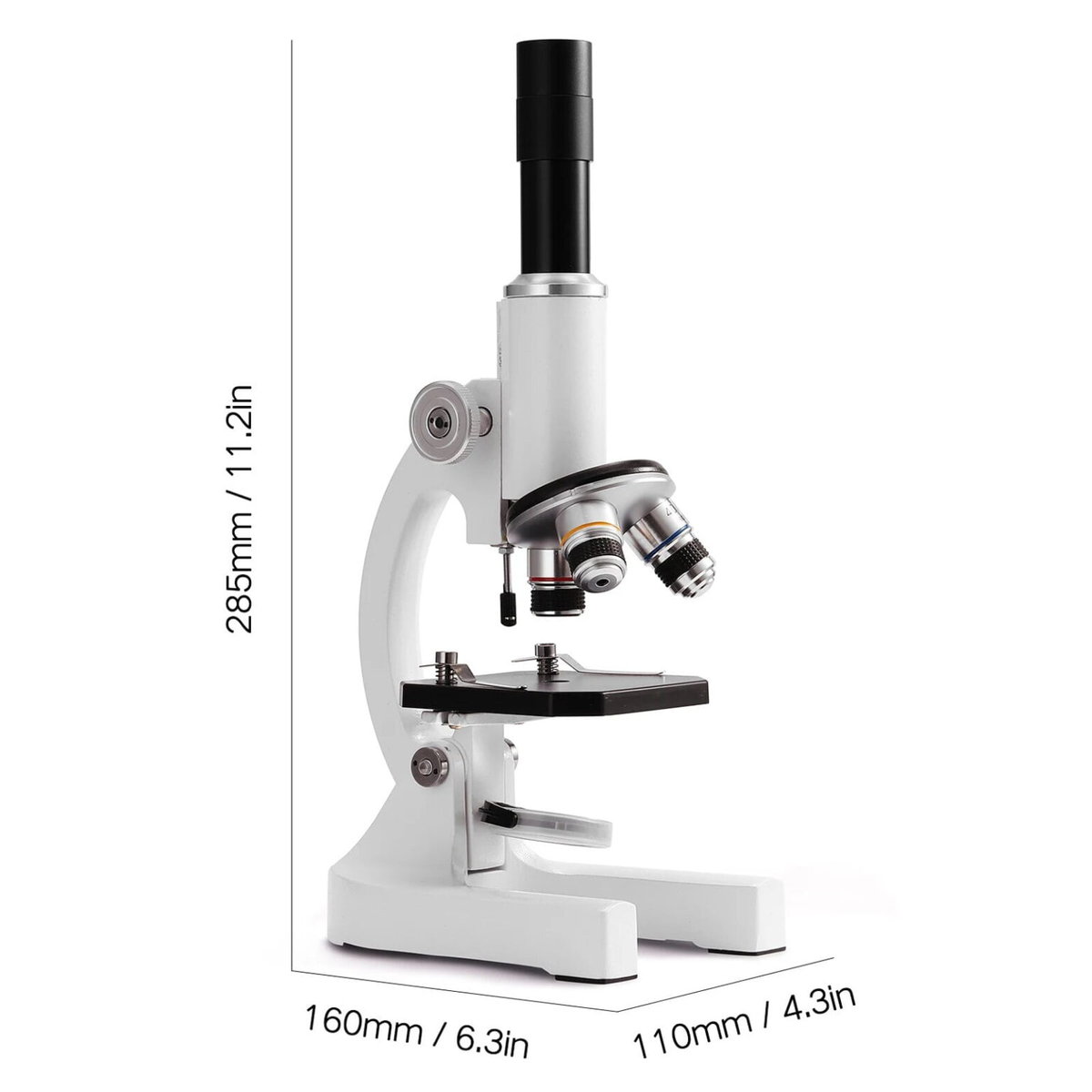 Microscópio para principiantes – Image 2