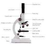 Microscópio para principiantes – Image 3