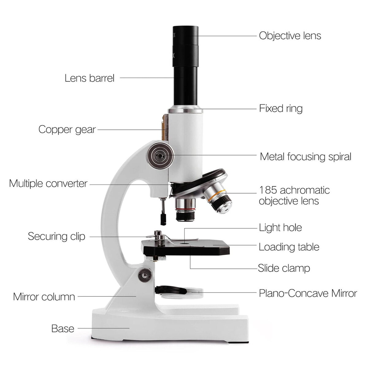 Microscópio para principiantes – Image 3