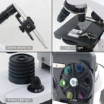 Microscópio Junior – Image 3