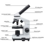 Microscópio Junior – Image 2
