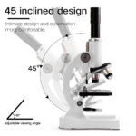 Microscópio para principiantes – Image 4
