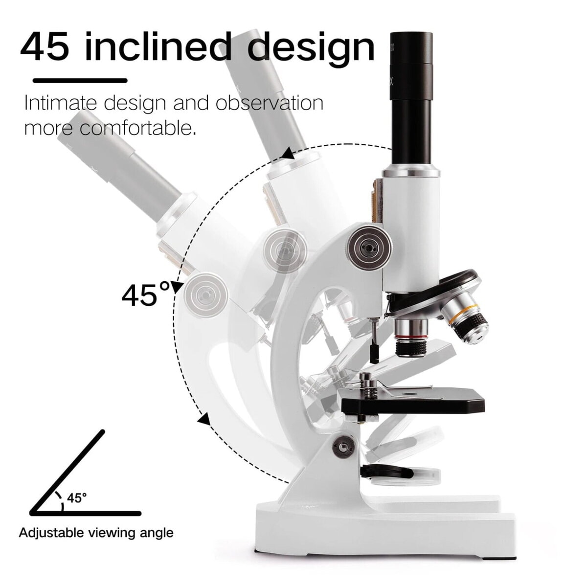 Microscópio para principiantes – Image 4