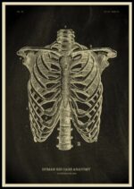 Poster Anatomia Do Corpo Humano – Image 4