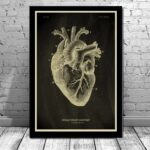 Poster Anatomia Do Corpo Humano