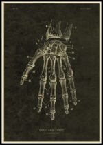 Poster Anatomia Do Corpo Humano – Image 2