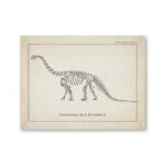 Poster Dinossauros – Image 4