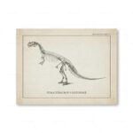 Poster Dinossauros – Image 6