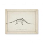 Poster Dinossauros – Image 7
