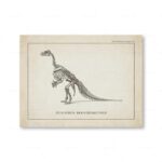 Poster Dinossauros – Image 8