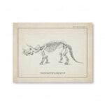 Poster Dinossauros – Image 10