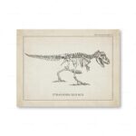 Poster Dinossauros – Image 5