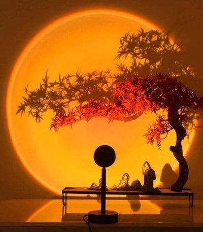 Miniatura de árvore de bonsai com luz de pôr do sol projetada na parede, criando sombra detalhada e efeito de pôr do sol.