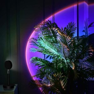 Planta tropical com luz de neon roxa e laranja formando um arco de pôr do sol ao fundo, criando ambiente moderno e relaxante.