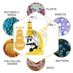 Microscópio de brinquedo com várias imagens de objetos observados, incluindo insetos, plantas, bactérias, grãos de pólen, lã, borboletas, e minerais, mostrando detalhes de diferentes ângulos.
