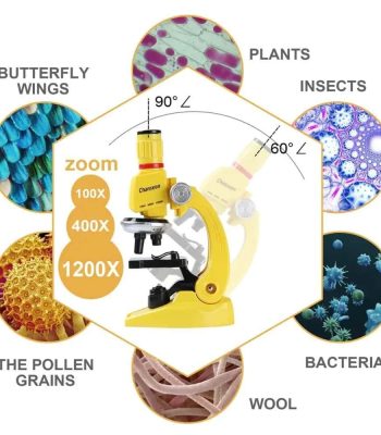 Microscópio de brinquedo com várias imagens de objetos observados, incluindo insetos, plantas, bactérias, grãos de pólen, lã, borboletas, e minerais, mostrando detalhes de diferentes ângulos.