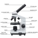 Microscópio com lente de 2X, tubo ocular, foco ajustável, iluminação superior e inferior, base com bateria, e várias etiquetas a indicar partes.
