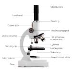 Microscópio com lente objetiva, tubo ocular, palco, luz e acessórios visíveis, ideal para iniciantes em ciências.