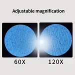 Duas imagens de uma amostra ao microscópio, mostrando aumentos de 60x e 120x, com fundo escuro e detalhes em azul da estrutura celular.