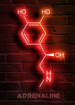 Ilustração de molécula de adrenalina em neon vermelho, destacando grupos hidroxila e amina, sobre parede de tijolos vermelhos.