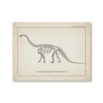 Esqueleto de dinossauro Camarasaurus Supremo, vista lateral detalhada, com ossos visíveis e bem definidos.