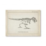 Esqueleto de Tyrannosaurus Rex desenhado em estilo científico, mostrando detalhes do crânio, costelas e patas traseiras, em uma página de livro de paleontologia.