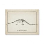 Esqueleto de um dinossauro Diplodocus Carnegii desenhado em estilo técnico, mostrando detalhes do esqueleto completo, incluindo coluna, costelas e membros.