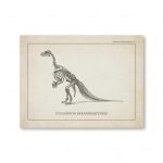 Esqueleto de um dinossauro Iguanodon Bernissartensis, mostrando o crânio, coluna vertebral, membros e cauda, em desenho técnico antigo.