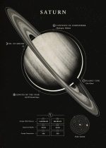 Ilustração do planeta Saturno com anéis visíveis, detalhes sobre atmosfera, tipo de planeta, número de luas, duração do ano, distância média ao Sol, raio equatorial, temperatura média e sistema solar.
