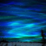 Céu noturno com aurora boreal em tons de azul e verde, estrelas visíveis, silhueta de árvores e horizonte escuro.