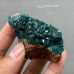 Dioptase Bruta – Image 2