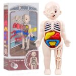 Jogo de Anatomia do Corpo Humano