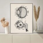Poster Anatomia do Olho