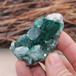 Cristal de fluorite verde com forma cúbica, textura translúcida, em uma mão, fundo desfocado de natureza.