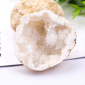 Geode de ágata aberta mostrando cristais brancos e estrutura cristalina interna, com fundo branco e detalhes de folhas verdes ao lado.