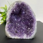 Geodo de ametista aberto mostrando cristais violetas brilhantes e estrutura cristalina interna, com fundo branco e uma planta verde ao lado.