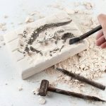 Escavação de fósseis de dinossauro em bloco de gesso, com ferramentas de escavação ao lado.