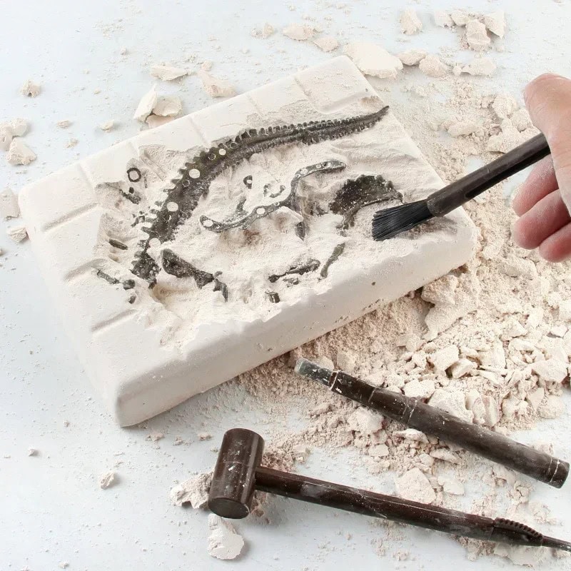 Escavação de fósseis de dinossauro em bloco de gesso, com ferramentas de escavação ao lado.