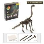 Modelo de esqueleto de dinossauro Brachiosaurus com caixa do kit, ferramentas e materiais de escavação, incluindo argamassa e ferramentas de escavação.