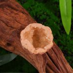 Geodo de cristal de rocha cinzento com cristais brilhantes no interior, colocado sobre madeira natural com vegetação ao fundo.