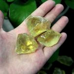 Três pedaços de citrino bruto de cor amarela, com superfícies irregulares e translucidez, segurados na palma da mão com fundo de folhas verdes.