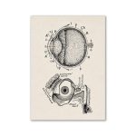 Desenho detalhado do olho humano mostrando a córnea, íris, pupila, retina e nervo óptico, com etiquetas explicativas.