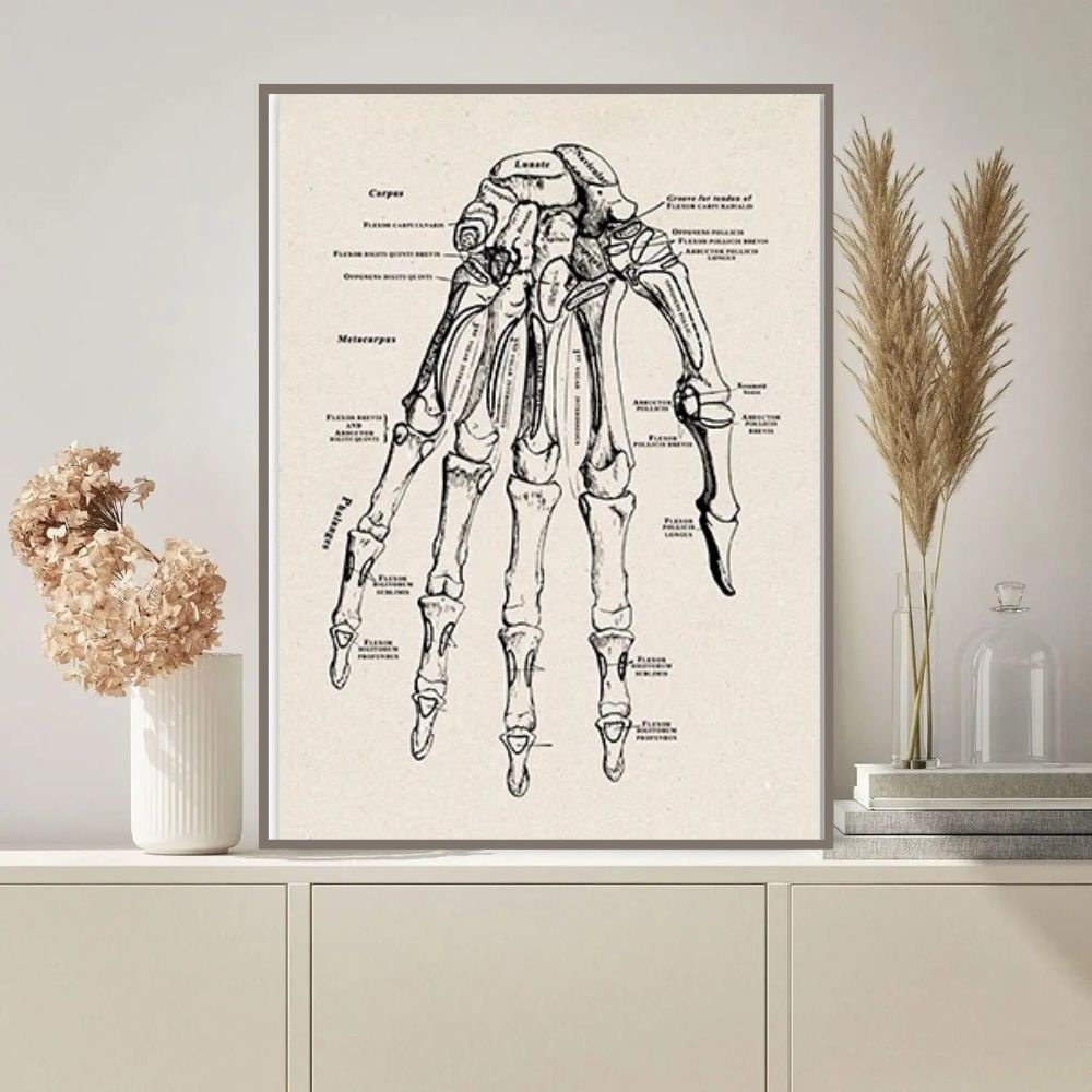 Poster de Estrutura Óssea da Mão Ilustração detalhada da estrutura óssea da mão humana, com nomes das ossadas e articulações.