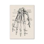 Desenho técnico detalhado da estrutura óssea da mão humana, incluindo ossos do carpo, metacarpos e falanges, com etiquetas em português.