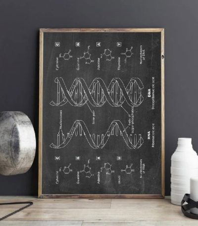Quadro negro com diagramas de DNA e RNA, incluindo estruturas químicas e processos de descoberta.