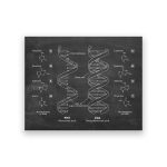 Quadro preto com ilustrações detalhadas da estrutura do DNA e RNA, incluindo nucleobases, açúcar, base par, hélice, e ligações químicas, com legendas em português.