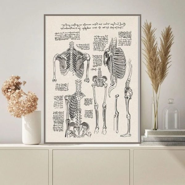 Ilustração detalhada do esqueleto humano com anotações e diagramas anatómicos, exibida numa moldura na parede de uma sala moderna.