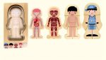 Conjunto de figuras de anatomia infantil em papel, incluindo sistema nervoso, circulatório, muscular, esquelético e um menino com uniforme de desporto.