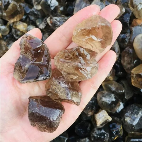 Vários pedaços de quartzo fumado em bruto, com cores que variam do castanho claro ao escuro, mostrando diferentes formas e tamanhos, com superfícies polidas e naturais.