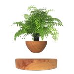 Planta verde em vaso de madeira suspenso no ar, com base de madeira sob ela, sem suporte visível.